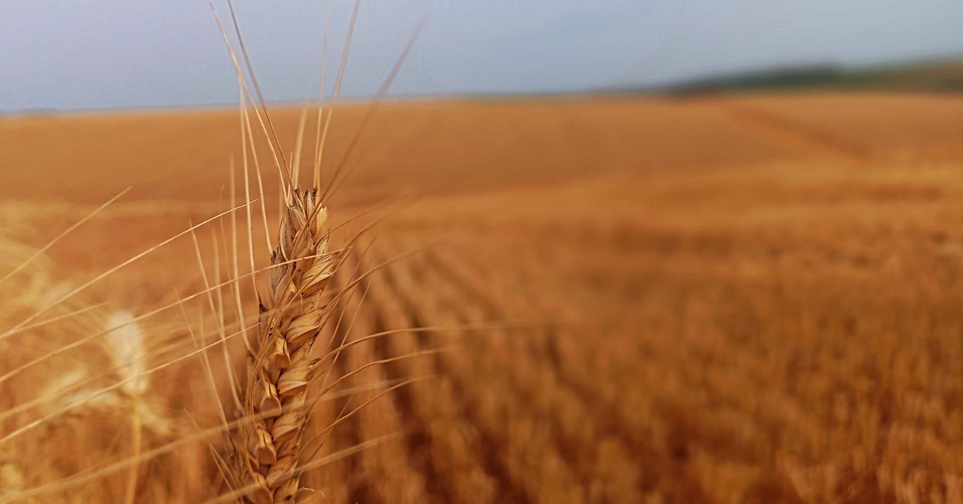 IMG_20240620_175621_756